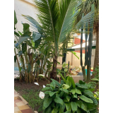 abrigo conveniado com assistência social contato Americana