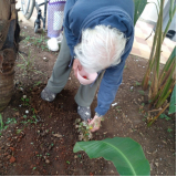 acolhimento por ordem judicial marcar Jaguaré