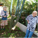 lar para idosos independentes Jardim Paulista