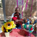 onde tem acolhimento por ordem judicial Zona Norte