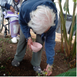 Abrigo para Pessoas Interditadas Judicialmente
