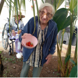 Instituições de Acolhimento para Pessoas com Deficiência